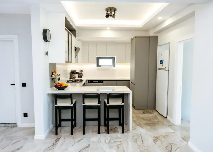 Palmiye By Safiya ギョジェク