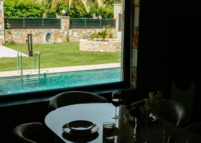 Palmiye By Safiya ギョジェク