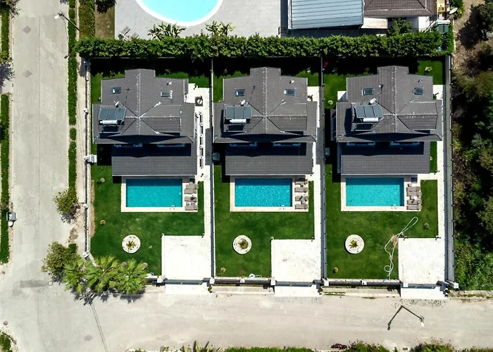 Palmiye By Safiya ギョジェク